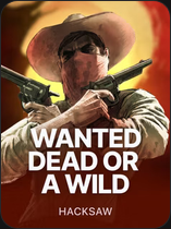 Coin Bandit: Hold and Win